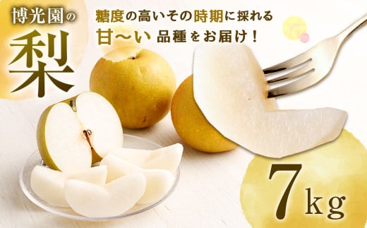美味しい 【九州産】 梨 7.0kg 【2025年9月下旬〜12月下旬迄発送予定】 豊水 20世紀 新高 新興 果物福岡県嘉麻市23000果物・フルーツりんご・梨
