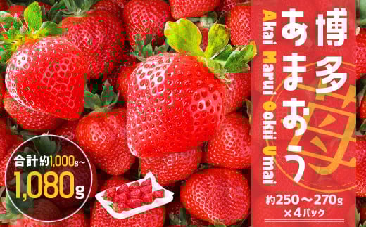 JAふくおか嘉穂 博多あまおう 【2箱(250g〜270g×4パック)】 いちご あまおう 果物 フルーツ 【2026年2月上旬-3月下旬迄順次発送予定】福岡県嘉麻市13000果物・フルーツいちご