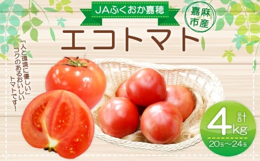 JAふくおか嘉穂 嘉穂のこくうま エコトマト4kg とまと 福岡県 嘉麻市 【2026年1月下旬-6月上旬迄順次発送予定】福岡県嘉麻市10000野菜・きのこトマト