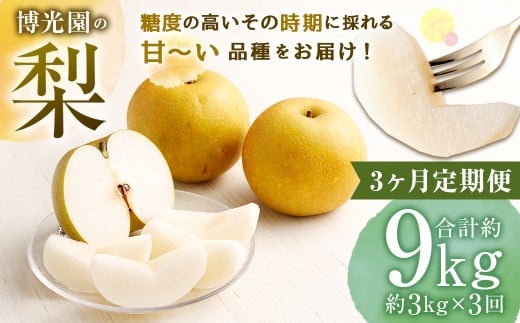 【3ヶ月定期便】 梨 3kg (計9kg) 【2026年9月下旬発送予定】 3回定期便 なし ナシ 果物 果実 フルーツ 定期便 国産 九州 福岡県 嘉麻市 常温福岡県嘉麻市36000果物・フルーツりんご・梨
