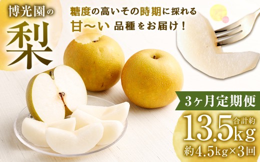 【3ヶ月定期便】 梨 4.5kg (計13.5kg) 【2026年9月下旬発送予定】 3回定期便 なし ナシ 果物 果実 フルーツ 定期便 国産 九州 福岡県 嘉麻市 常温福岡県嘉麻市51000果物・フルーツりんご・梨