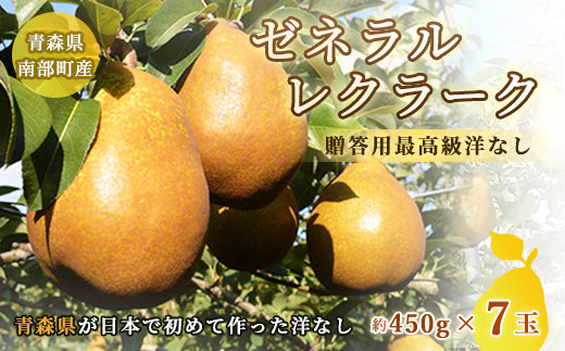 高級 ゼネラルレクラーク (洋梨) 約3kg (約450g×7個)【泉山果樹園】 ゼネラル レクラーク 洋ナシ なし 青森県 南部町 フルーツ 果物 くだもの 年内発送 F21U-063青森県南部町16000果物・フルーツり