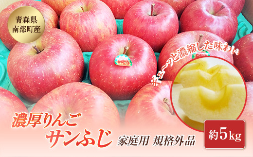 【訳あり】 青森県南部町産 濃厚りんご サンふじ (規格外品) 約5kg 【アグリーデザイン】 青森りんご リンゴ アップル 林檎 青森県 南部町 果物 くだもの フルーツ 家庭用 わけあり ワケア