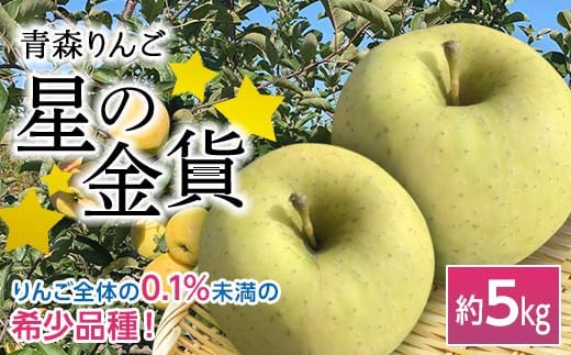 青森りんご 星の金貨 約5kg 【マルス果樹園】 りんご リンゴ 林檎 アップル 果物 くだもの フルーツ あおもり 青森 青森県 南部町 三戸 南部 3kg 以上 F21U-079青森県南部町16000果物・フルーツり