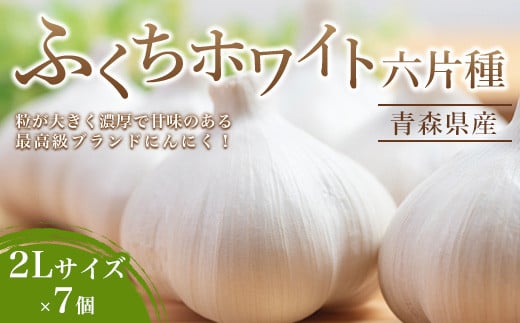 南部町営市場 直送 にんにく「ふくちホワイト六片種」(2Lサイズ×7個) 《カネテ青果》 青森にんにく ニンニク ガーリック バラ 最高級品種 福地ホワイト ふくちホワイト六片種 高級ブラ