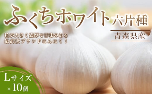 南部町営市場 直送 にんにく「ふくちホワイト六片種」(Lサイズ×10個)《カネテ青果》 青森にんにく ニンニク ガーリック バラ 最高級品種 福地ホワイト ふくちホワイト六片種 高級ブラン