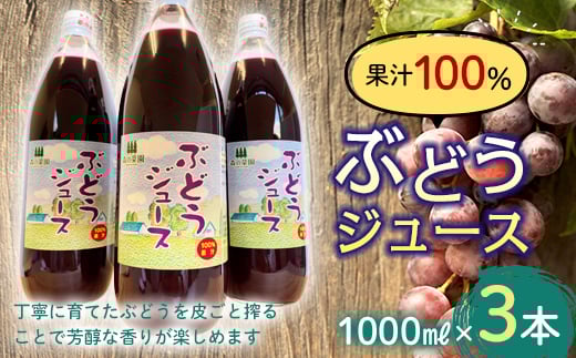 果汁100% ぶどうジュース (1000ml瓶×3本) 【森の菜園】 ブドウ 葡萄 グレープ ブドウジュース 葡萄ジュース フルーツ王国 青森県 南部町産 三戸 南部 1l 1L セット F21U-198青森県南部町18000お茶・