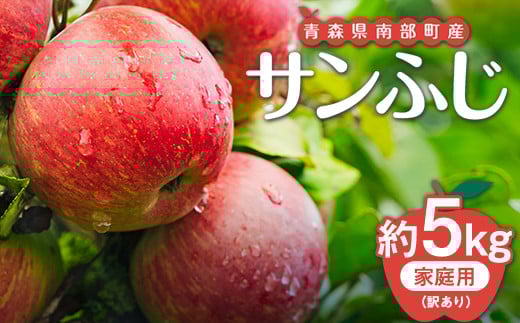 【訳あり】青森県南部町産りんご 家庭用サンふじ 約5kg【泉山果樹園】青森りんご リンゴ 林檎 アップル あおもり 青森 青森県 南部町 三戸 南部 果物 くだもの フルーツ 訳アリ わけあり 家