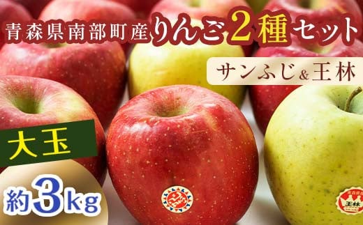 特選 (大玉) 青森産 完熟 りんご 約3kg サンふじ 王林 2種セット 【誠果園】 青森りんご リンゴ 林檎 アップル あおもり 青森 青森県 南部町 三戸 南部 澁川賞受賞 果物 くだもの フルーツ F21U-2