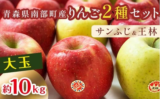 特選 (大玉)  青森産 完熟 りんご 約10kg サンふじ 王林 2種セット 【誠果園】 青森りんご リンゴ 林檎 アップル あおもり 青森 青森県 南部町 三戸 南部 澁川賞受賞 果物 くだもの フルーツ 3kg
