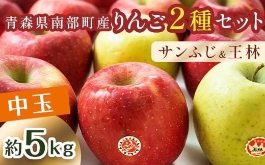  iʁj XY n  5kg Tӂ  2Zbg yʉz X S ь Abv  X X 암 O 암 F܎ ʕ  t[c 3kg