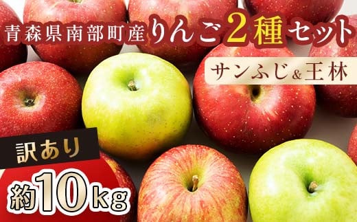 【訳あり】 青森産 完熟 りんご 約10kg サンふじ 王林 2種セット (中〜大玉) 【誠果園】 青森りんご リンゴ 林檎 アップル あおもり 青森 青森県 南部町 三戸 南部 澁川賞受賞 果物 くだもの