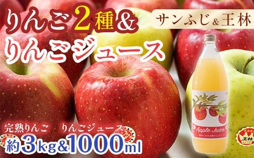 特選(大玉) 青森産 完熟 りんご 約3kg サンふじ 王林 2種セット & りんごジュース セット 【誠果園】 青森りんご リンゴ 林檎 アップル あおもり 青森 青森県 南部町 三戸 南部 澁川賞受賞