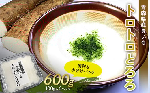 青森県産 長いも トロトロとろろ 600g(100g×6パック) 【なんぶ農援】便利な小分けパック 無添加 F21U-257青森県南部町10000野菜・きのこその他 野菜