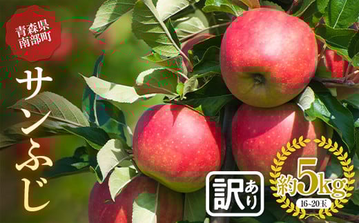 《訳あり》青森りんご サンふじ 約5kg(16〜20玉) 【マルス果樹園】 ふじ りんご リンゴ 林檎 アップル 果物 くだもの フルーツ あおもり 青森 青森県 南部町 三戸 南部 家庭用 訳アリ 規格