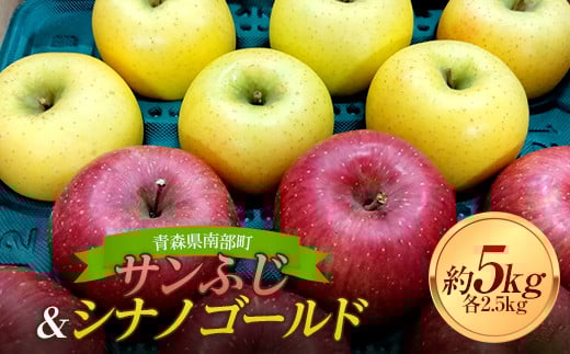 青森りんご サンふじ ・ シナノゴールド 約5kgセット 【マルス果樹園】 2種 セット ふじ シナノゴールド りんご リンゴ 林檎 アップル 果物 くだもの フルーツ あおもり 青森 青森県 南部町