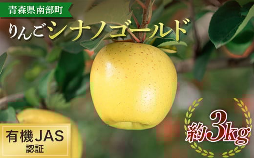 有機JAS認証 りんご シナノゴールド 約3kg 【和楽堂りんご養生農苑】 青森りんご リンゴ 林檎 アップル あおもり 青森 青森県 南部町 三戸 南部 果物 くだもの フルーツ オーガニック F21U-322青