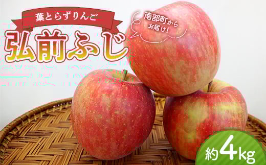 sƒpt tƂ炸 OOӂ 4kg yl˔_z _ L@엿 X S ь Abv  X X 암 ʕ  t[c 󂠂 A 킯 K