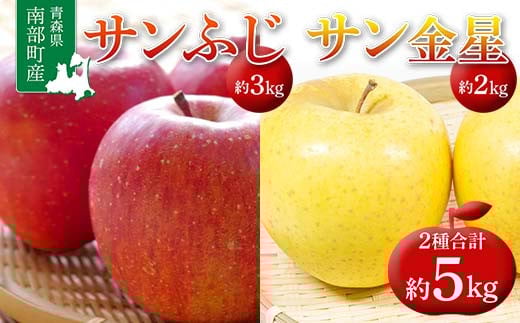 青森県 南部町産 りんご サンふじ&サン金星 約5kg 【盛果園】 青森りんご リンゴ 林檎 アップル あおもり 青森 南部町 三戸 南部 果物 くだもの フルーツ セット 3kg 以上 F21U-367青森県南部町1