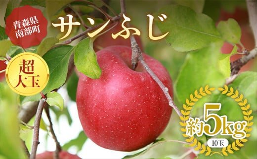 青森りんご サンふじ 特選品 (超大玉) 約5kg (10玉) 【マルス果樹園】 ふじ りんご リンゴ 林檎 アップル 果物 くだもの フルーツ あおもり 青森 青森県 南部町 三戸 南部  3kg 以上 F21U-373青森県