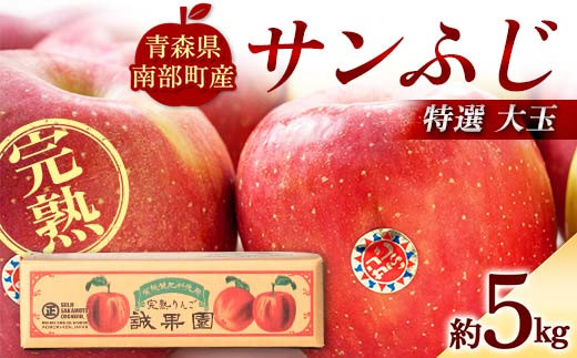 特選 (大玉) 青森産 完熟 りんご サンふじ 約5kg 【誠果園】 青森りんご リンゴ 林檎 アップル あおもり 青森 青森県 南部町 三戸 南部 澁川賞受賞 果物 くだもの フルーツ F21U-386青森県南部町1