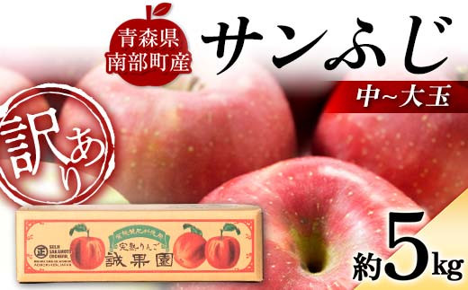 【訳あり】 青森産 完熟 りんご サンふじ (中〜大玉) 約5kg 【誠果園】 青森りんご リンゴ 林檎 アップル あおもり 青森 青森県 南部町 三戸 南部 澁川賞受賞 果物 くだもの フルーツ 家庭