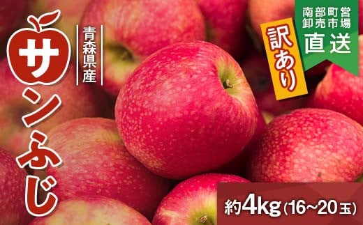 󂠂 XY  uTӂv 4kgi16`20ʁj yJleʁz 암cs  X S ь Abv  X 암 O ʕ  t[c 3