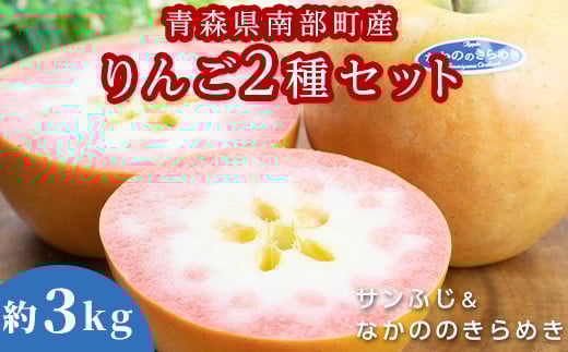 青森県 希少りんご サンふじ&なかののきらめき 約3kgセット 【泉山果樹園】 青森りんご ふじ なかののきらめき リンゴ 林檎 アップル あおもり 青森 青森県 南部町 三戸 南部 果物 くだもの