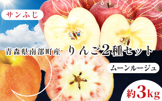 青森県 希少りんご サンふじ&ムーンルージュ 約3kgセット 【泉山果樹園】 青森りんご ふじ ムーンルージュ リンゴ 林檎 アップル あおもり 青森 青森県 南部町 三戸 南部 果物 くだもの フ