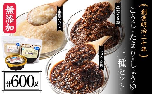 創業明治二十年 もりたの生塩こうじ 生たまり麹 しょうゆ麹 3種セット 【森田麹・味噌店】 無添加 こうじ 糀 麹 塩 たまり しょうゆ 醤油調味料 発酵食品 隠し味 お取り寄せ 天然醸造 食品