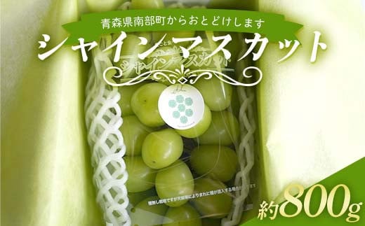 農林水産大臣賞受賞 シャインマスカット 約800g 【沼畑総合ファーム】 フルーツ 大粒 ぶどう 葡萄 ブドウ 果物 人気 種なし 新鮮 高級 ギフト 贈答 くだもの 期間限定 青森県 南部町 F21U-510青