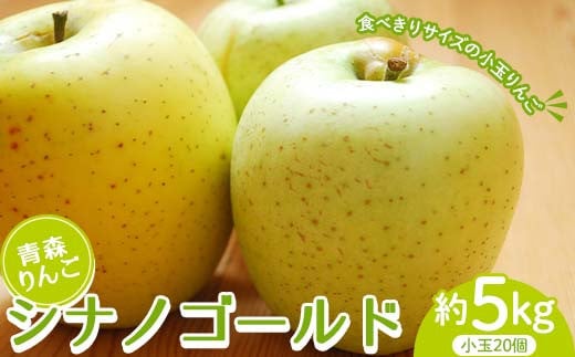 X VimS[h 5kg i20j y}Xʎz  S ь Abv ʕ  t[c  X X 암 O 암 F21U-518X암14000ʕE
