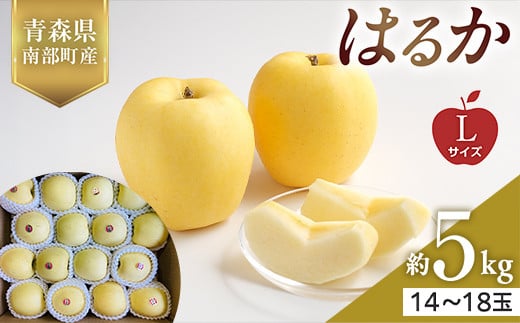 XY 󏭂 ͂邩 LTCY 5kg yX؂͂邱_z X S ь Abv  X 암 O ʕ  t[c F21U-562X암26000ʕE