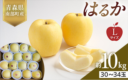 XY 󏭂 ͂邩 LTCY 10kg yX؂͂邱_z X S ь Abv  X 암 O ʕ  t[c F21U-565X암44000ʕE
