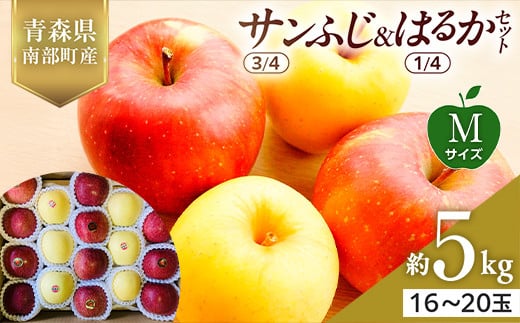 青森県産 サンふじ(3/4)・はるか(1/4)セット Mサイズ 5kg 【佐々木あきおはるこ農園】 青森りんご リンゴ 林檎 アップル あおもり 青森県 南部町 三戸 果物 くだもの フルーツ F21U-575青森県南部
