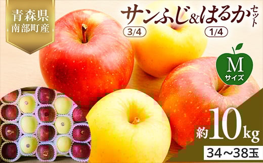 青森県産 サンふじ(3/4)・はるか(1/4)セット Mサイズ 10kg 【佐々木あきおはるこ農園】 青森りんご リンゴ 林檎 アップル あおもり 青森県 南部町 三戸 果物 くだもの フルーツ F21U-578青森県南部