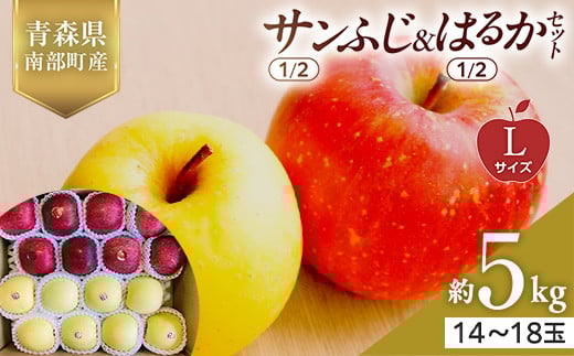 青森県産 サンふじ(1/2)・はるか(1/2)セット Lサイズ 5kg (各2.5kg) 【佐々木あきおはるこ農園】 青森りんご リンゴ 林檎 アップル あおもり 青森県 南部町 三戸 果物 くだもの フルーツ F21U-568青