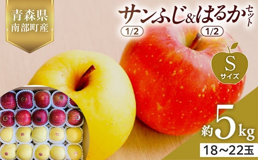 XY Tӂ(1/2)E͂邩(1/2)Zbg STCY 5kg (e2.5kg) yX؂͂邱_z X S ь Abv  X 암 O ʕ  t[c F21U-570