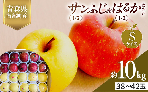 青森県産 サンふじ(1/2)・はるか(1/2)セット Sサイズ 10kg (各5kg) 【佐々木あきおはるこ農園】 青森りんご リンゴ 林檎 アップル あおもり 青森県 南部町 三戸 果物 くだもの フルーツ F21U-573青森