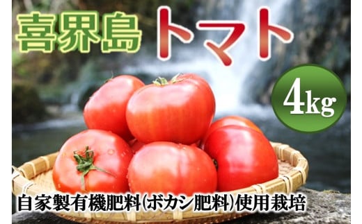 【2025年12月から発送】『喜界島トマト』自家製有機肥料(ボカシ)使用栽培 4kg鹿児島県喜界町12000野菜・きのこトマト