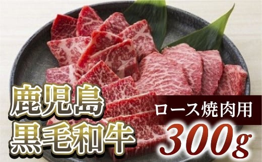 ロース焼肉用300g 鹿児島黒毛和牛【尾崎牧場】鹿児島県喜界町20000肉牛肉