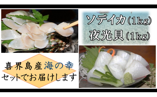 【2025年12月以降発送】【真空冷凍】夜光貝の刺身1kg・ソデイカ1kg【漁師直送!!】鹿児島県喜界町34000魚介・海産物イカ・タコ・ウニ