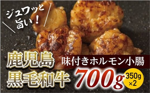 味付きホルモン小腸700g(350g×2) 鹿児島黒毛和牛【尾崎牧場】鹿児島県喜界町13000肉牛肉