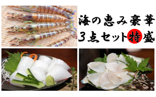 【2025年12月以降発送】車海老(600g)・夜光貝(1kg)・ソデイカ(1s)【海の恵み豪華3点特盛】鹿児島県喜界町54000魚介・海産物エビ