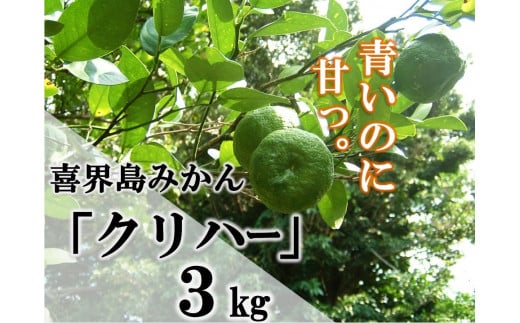 【数量限定】喜界島みかん『クリハー』3Kg【2025年10月から発送】鹿児島県喜界町8000果物・フルーツみかん・柑橘類