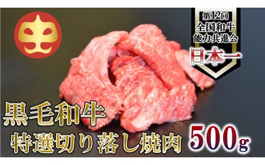 【うしの中山】 切り落とし 焼肉 用 500g鹿児島県喜界町24000肉牛肉