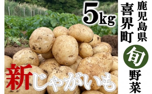 【2026年3月発送】サンゴの恵み 新じゃがいも 5kg【大小混合】鹿児島県喜界町9000野菜・きのこじゃがいも・イモ類