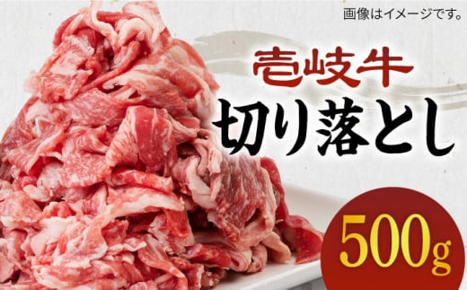 sA4`A5Nt ؂藎Ƃ 500g sstys_Ƌgz[JBO016]   ؗ ؂ ؂ Ă Ԃ א؂  Ԑg 13000 13000~茧s13000