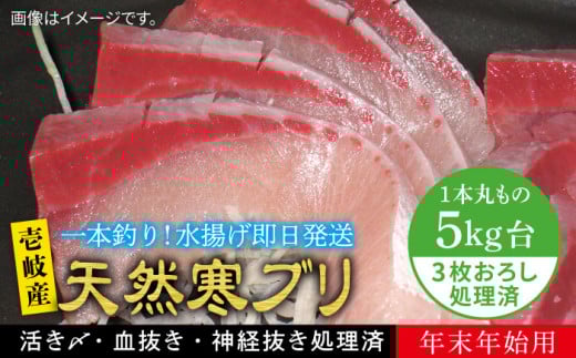 yNzy11/1`1/15͂ NNnpzVR ui5LE3낵j ssty򓇁@Cz[JBS023] Ԃ Ԃ u  hg Ԃ 80000 80000~茧s80000