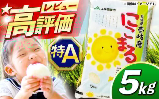ys\zyR7NxYāzY ɂ܂ 5kgy2025N11ȍ~zsstys_Ƌgz[JBO023]    ͂  5L A   16000 16000~茧s16000āEp